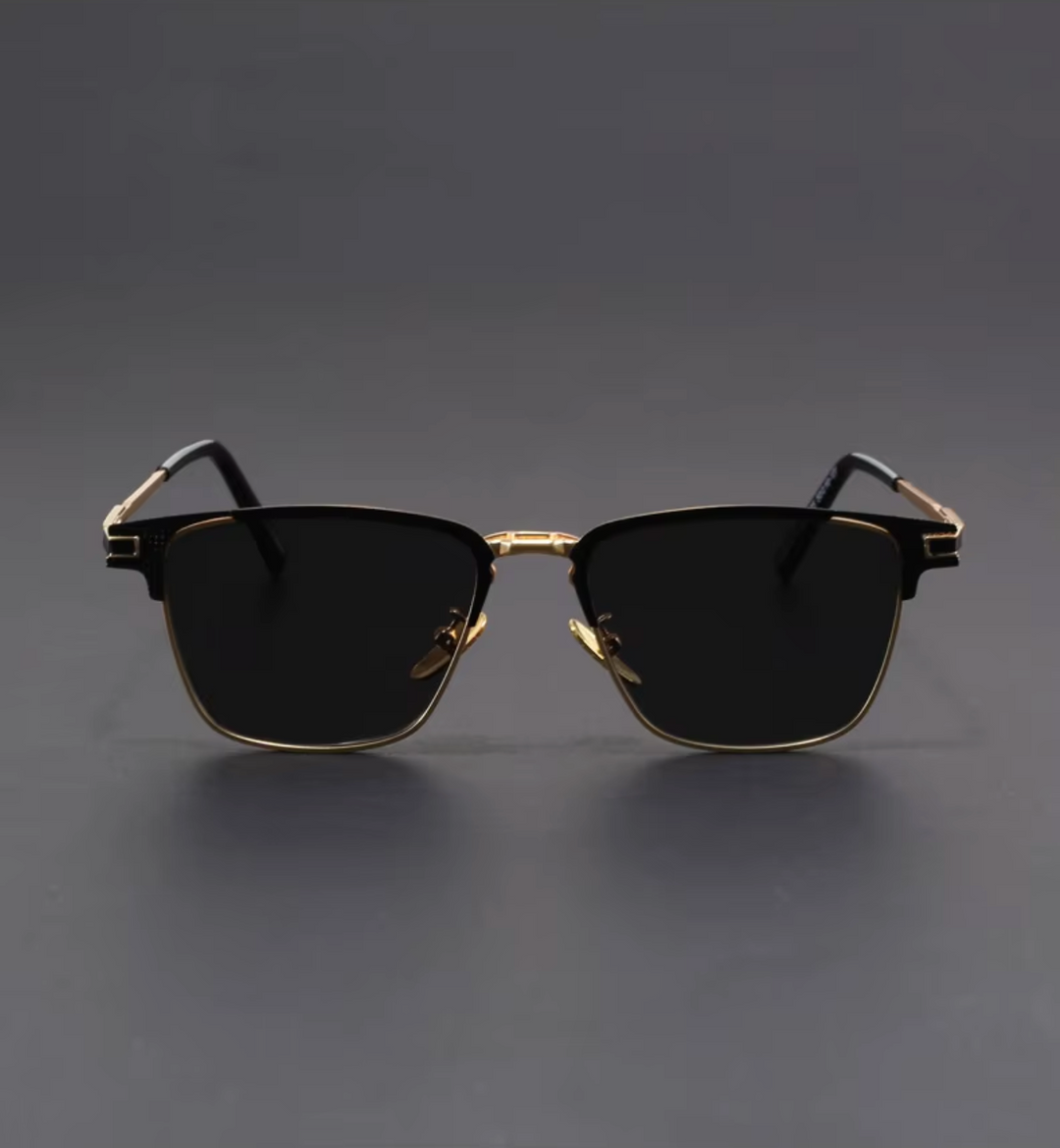 Venice Titanium Sunglasses