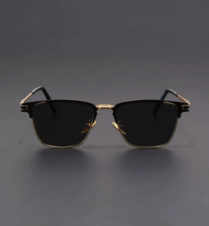 Venice Titanium Sunglasses