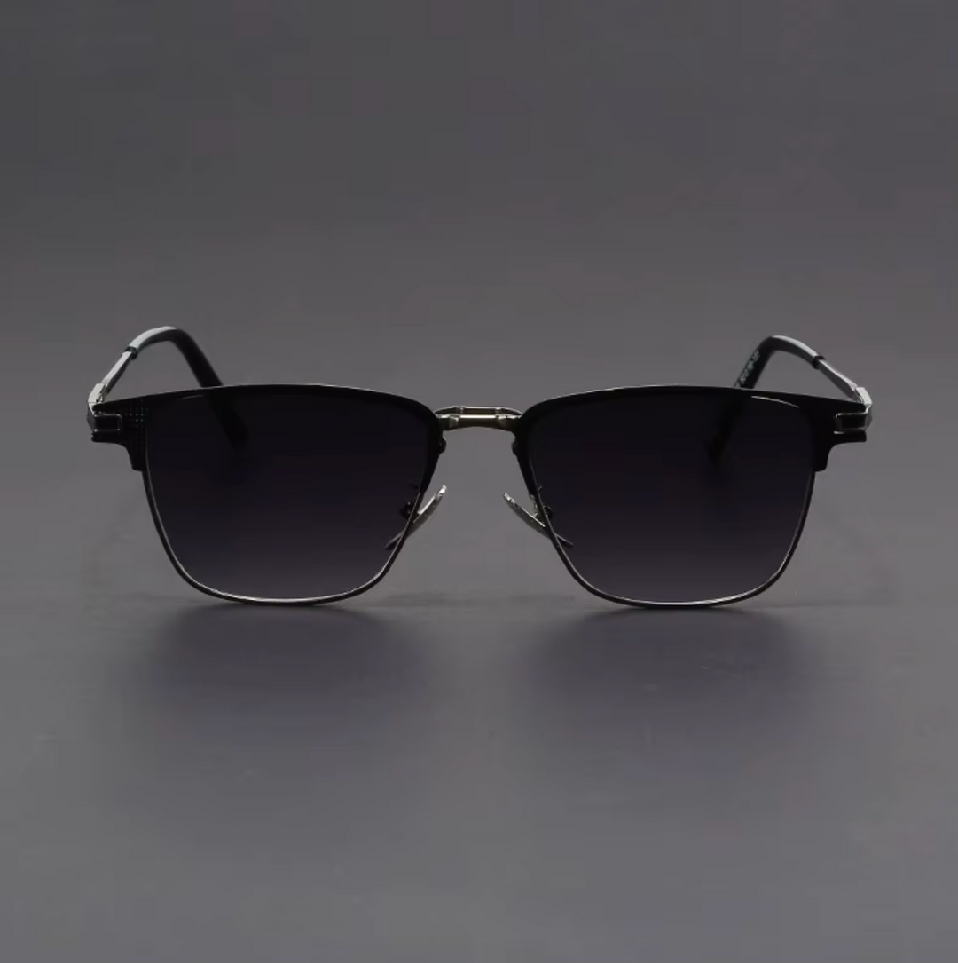 Venice Titanium Sunglasses