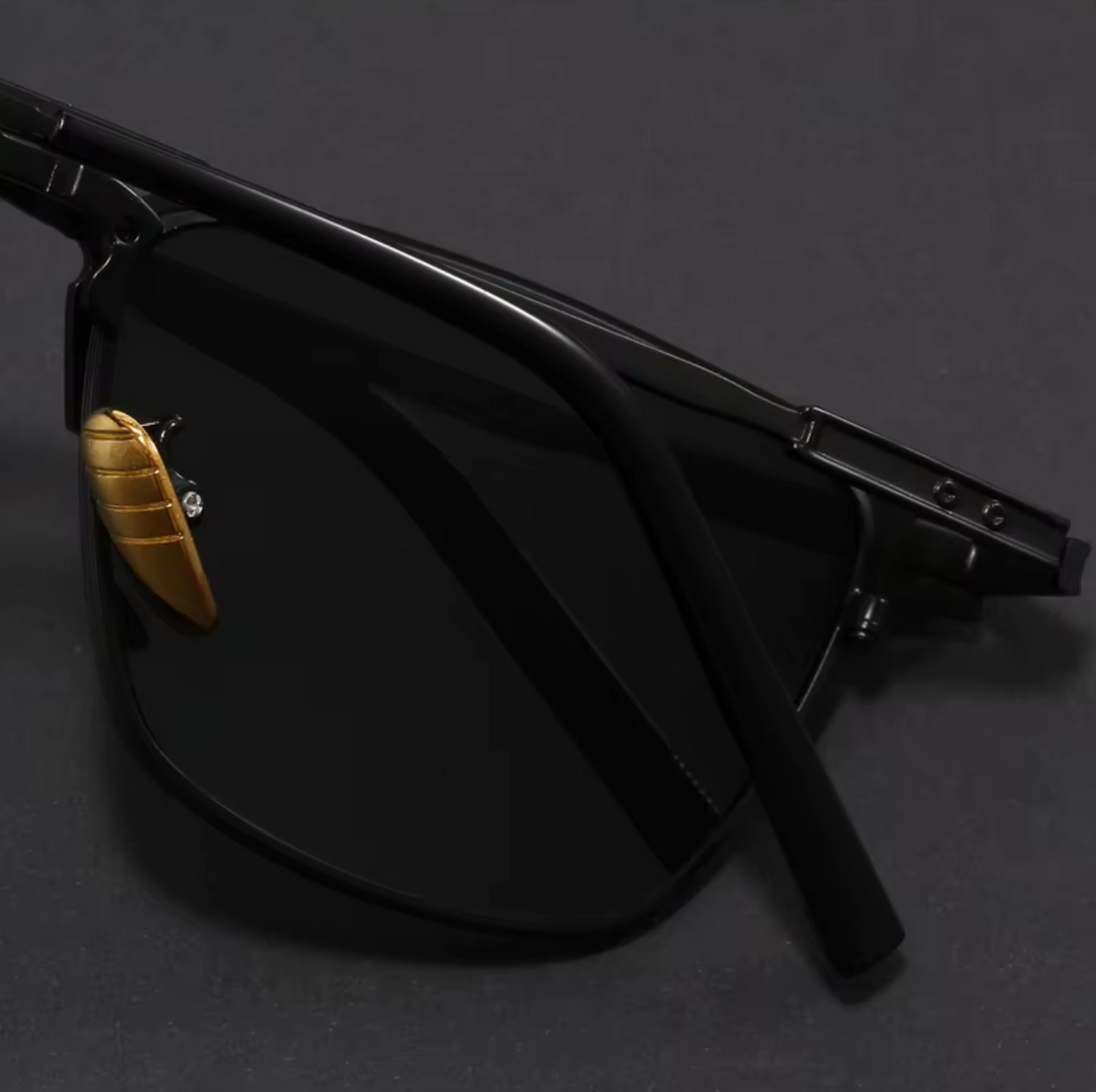 Venice Titanium Sunglasses