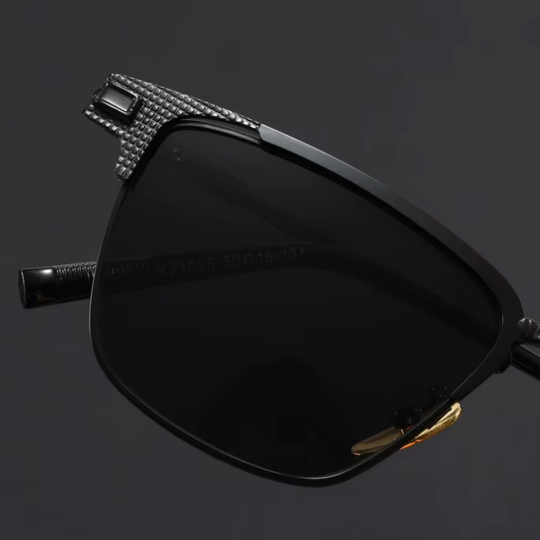 Venice Titanium Sunglasses