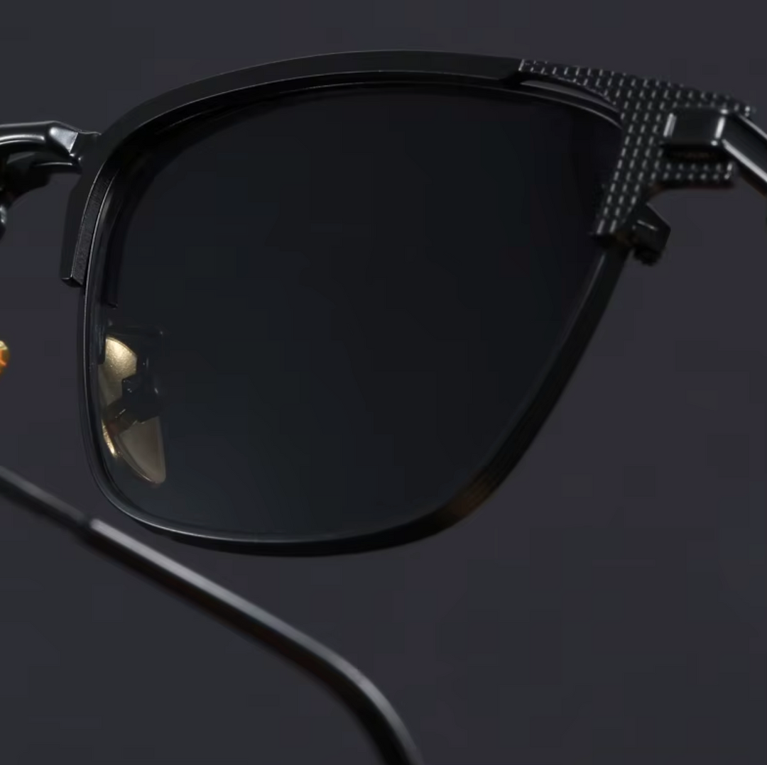 Venice Titanium Sunglasses