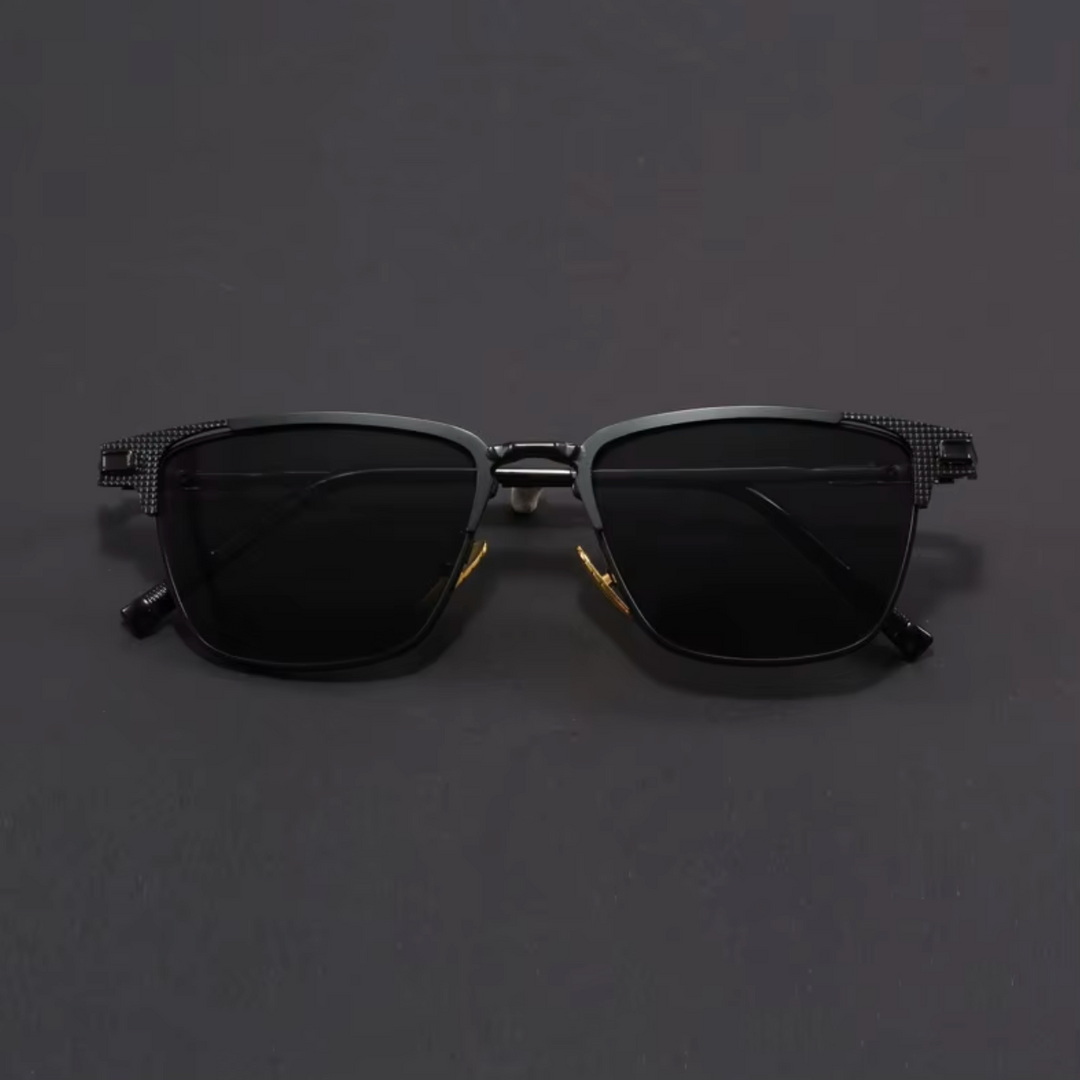 Venice Titanium Sunglasses