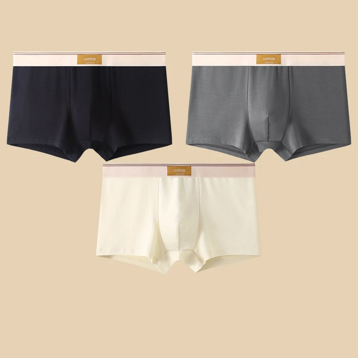 Austin Cotton Boxer Brief Set
