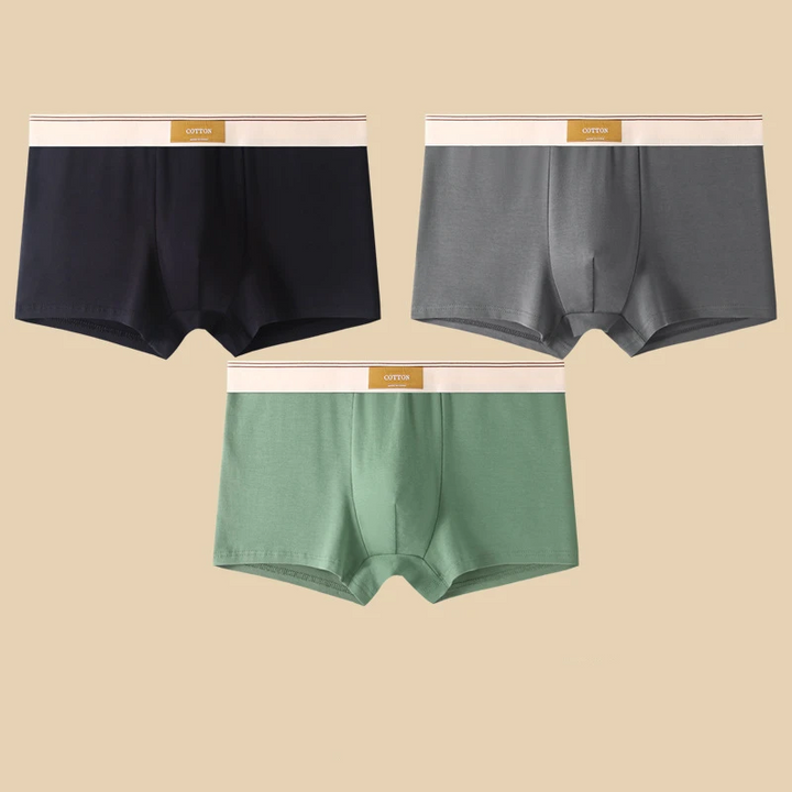 Austin Cotton Boxer Brief Set