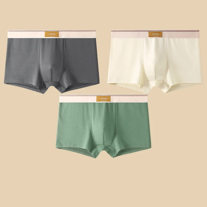 Austin Cotton Boxer Brief Set